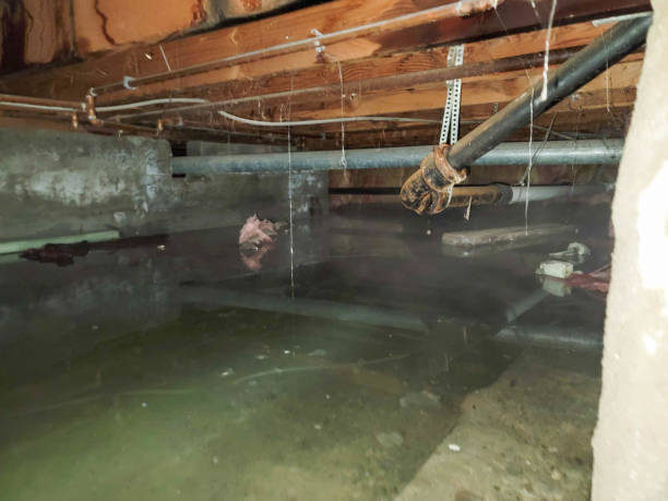 Water damage restoration insurance claims in Cedarville, OH