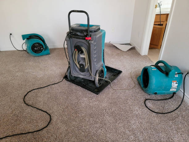 Water damage restoration mold remediation in Cedarville, OH