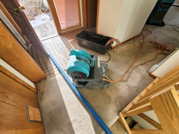 Best Sewage cleanup and water damage restoration  in Cedarville, OH