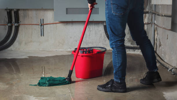 Best Mold removal after water damage  in Cedarville, OH