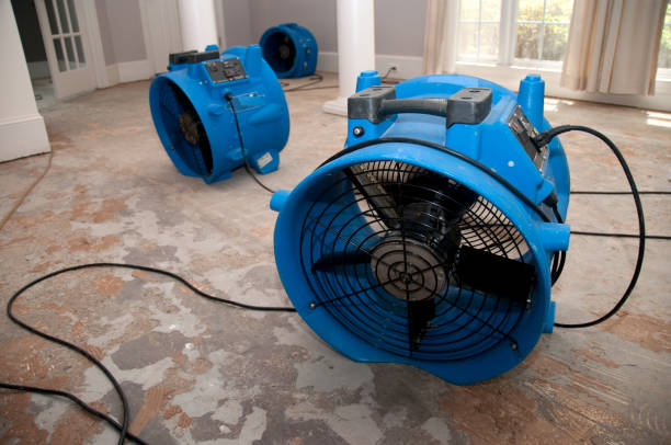 Cedarville, OH Water damage restoration Pros