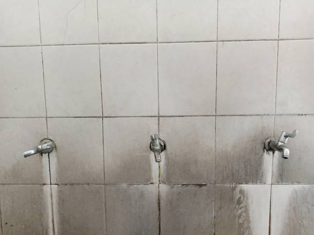 Best Commercial water damage restoration  in Cedarville, OH