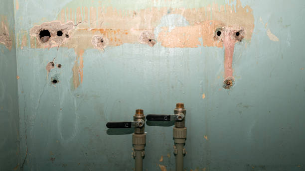 Best Flood damage cleanup  in Cedarville, OH