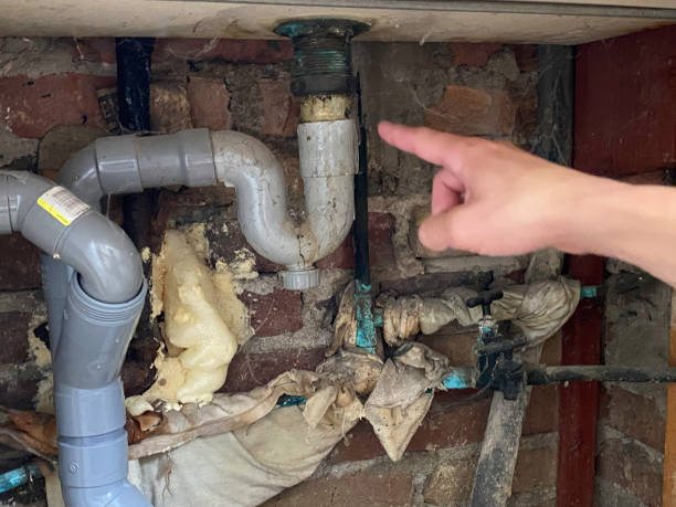 Best Carpet water damage restoration  in Cedarville, OH