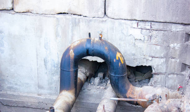 Best Water damage contractors near me  in Cedarville, OH
